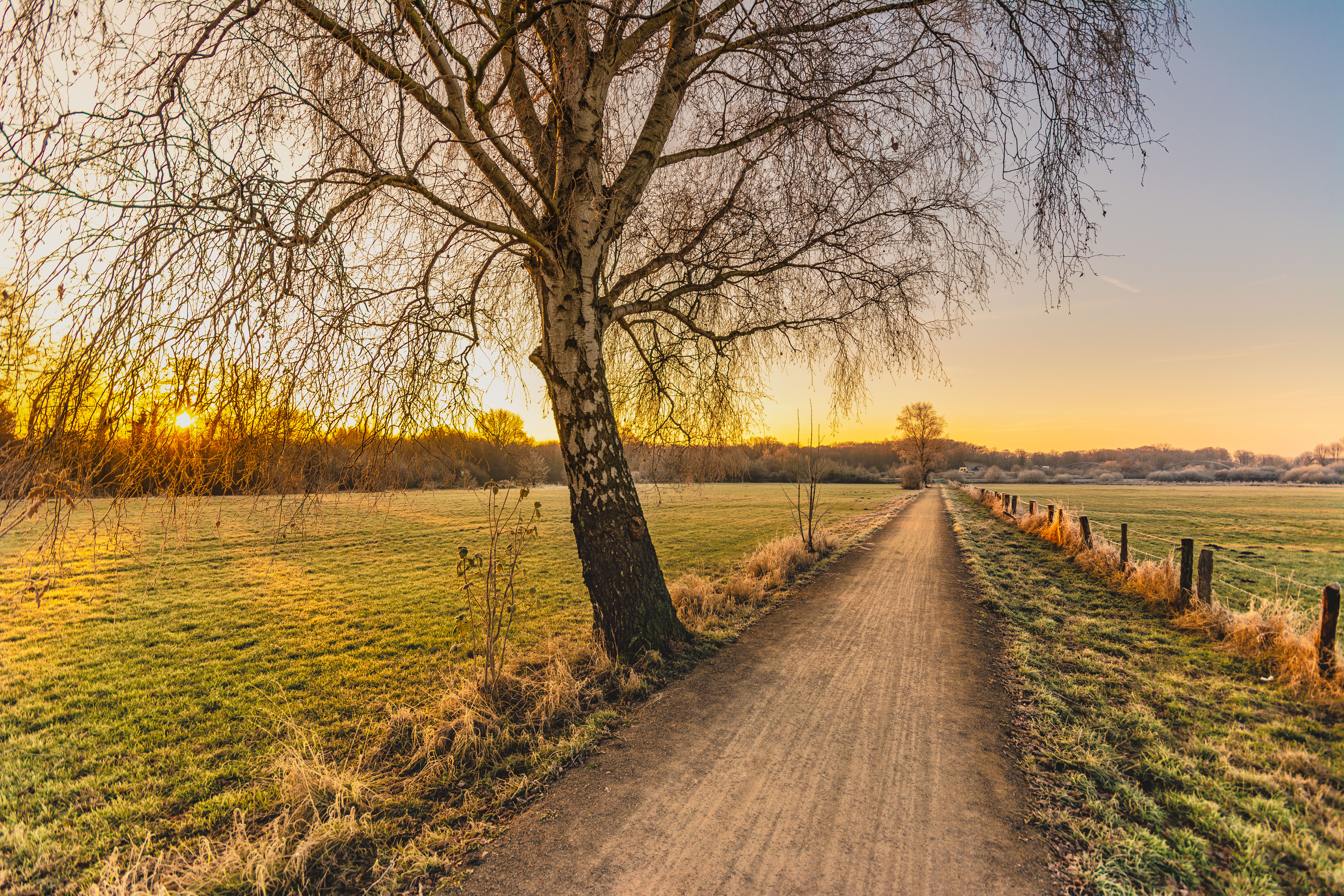 Forum Der Natur Fdn